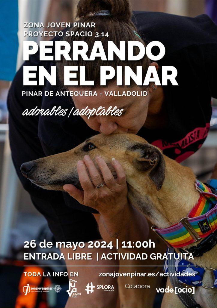 Perreando en el Pinar un evento para conocer la labor de las protectoras de animales y fomentar la adopción de perros y gatos